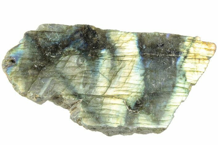 Single Side Polished Labradorite Section - Madagascar #238263